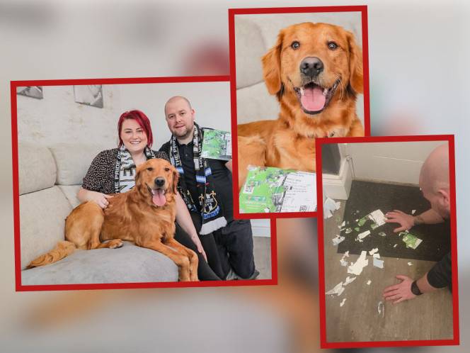 Aficionado vende a su perro a manera de broma en Facebook por morder boletos para final de la copa inglesa