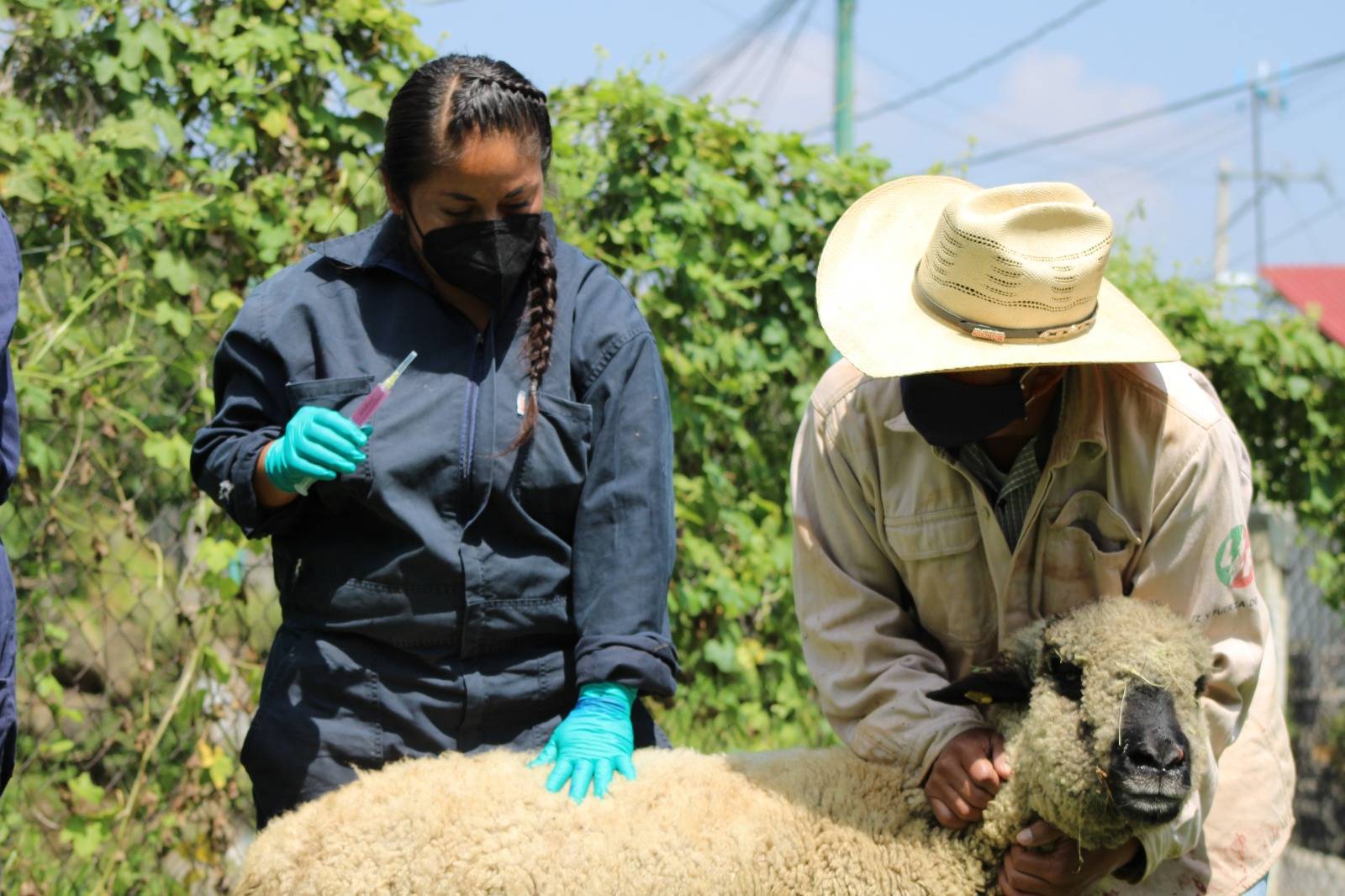 Implementan programa para conservar y preservar los ecosistemas del suelo de conservación