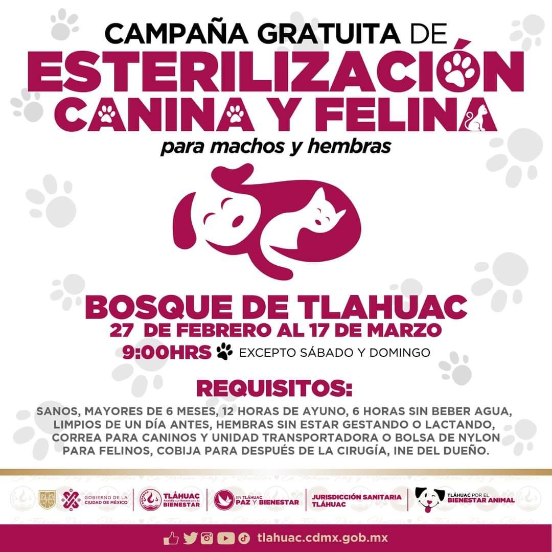 Comienza jornada de esterilización canina y felina en Tláhuac