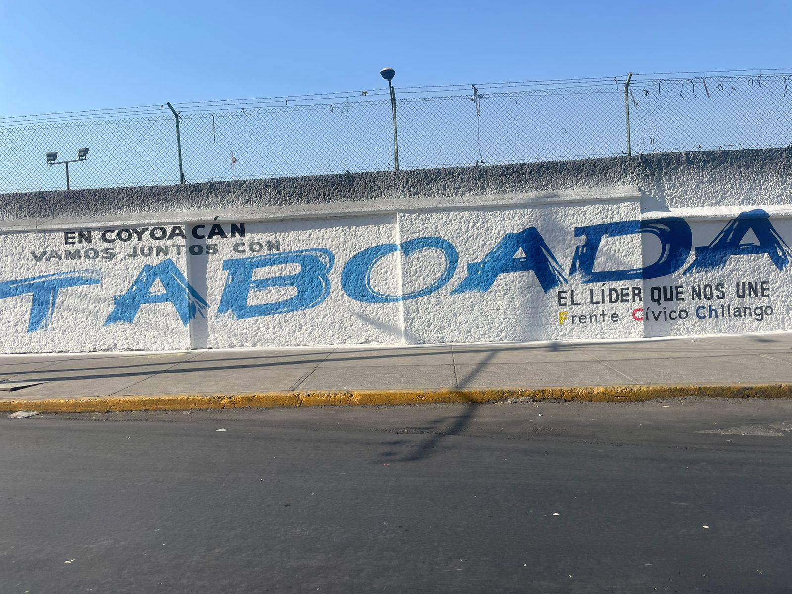 Viola Taboada legislación electoral con campaña anticipada 