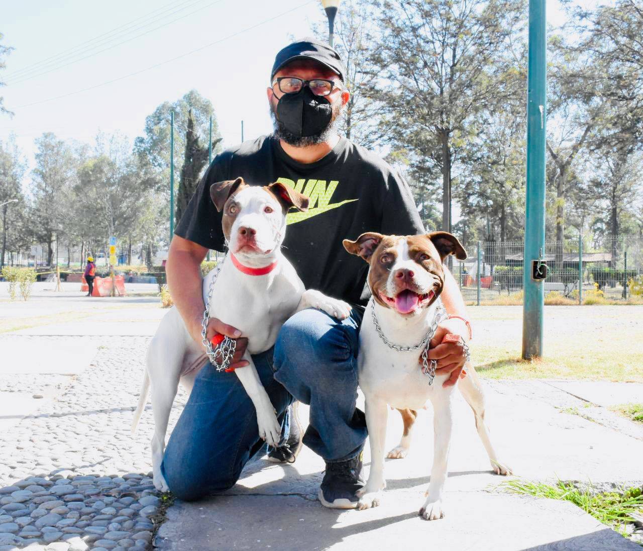 Tláhuac: Jornadas de Esterilización Canina y Felina logró 4 mil 476 operaciones exitosas