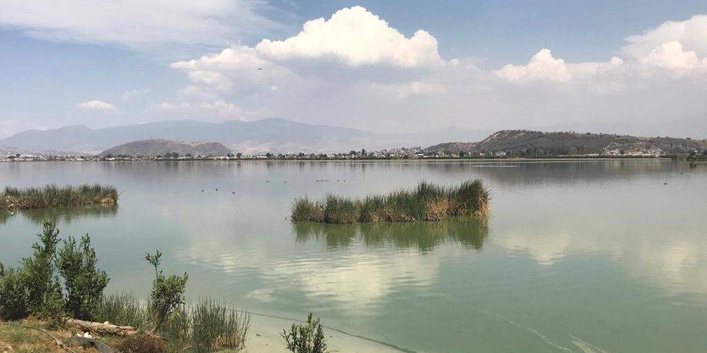 Las lagunas de Xico, el paisaje lacustre que se resiste a morir