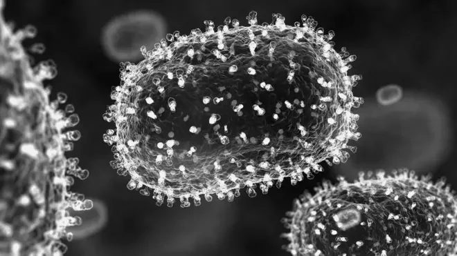 Estudio revela susceptibilidad de niñas a subvariante del MPOX