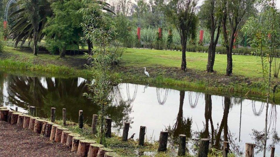 Sedema logra restauración de humedales en la CDMX